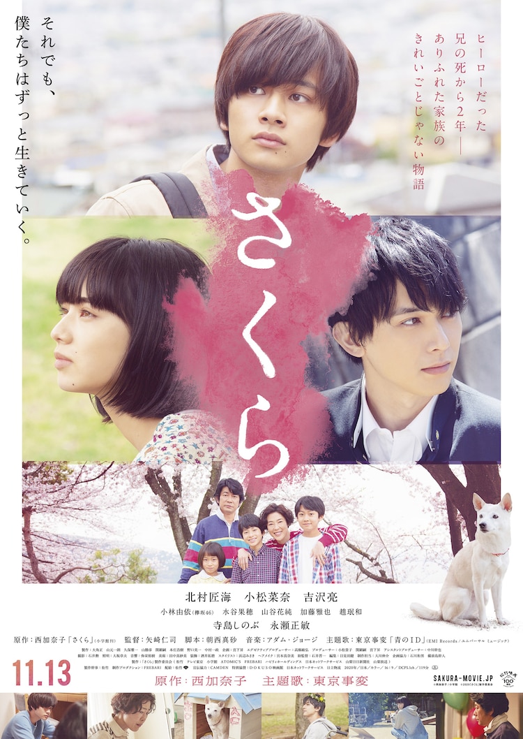 明珠新闻[2017]
